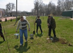Actions “Clean Environment” and “Plant a Tree”
